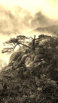 Sepia