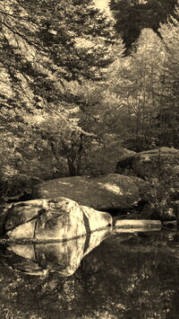 Szary + Sepia