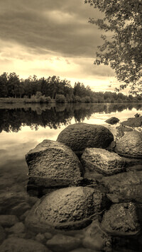 Szary + Sepia