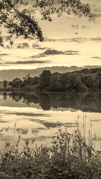 Szary + Sepia