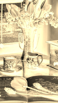 Sepia + Negatyw