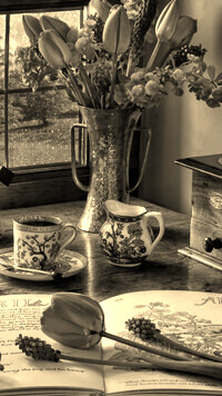 Sepia