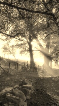 Szary + Sepia