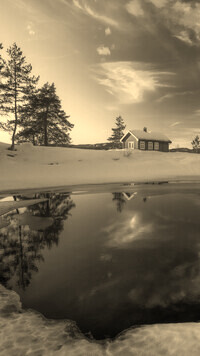 Szary + Sepia
