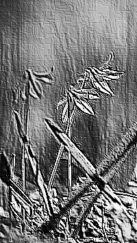 Skamielina