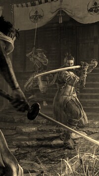 Szary + Sepia