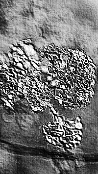 Skamielina