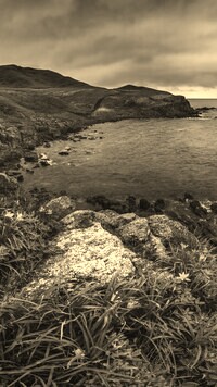 Sepia