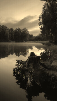 Szary + Sepia