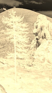 Sepia + Negatyw