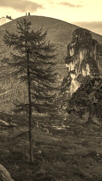 Szary + Sepia