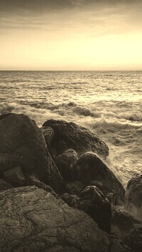 Szary + Sepia