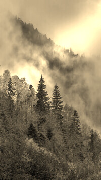 Sepia