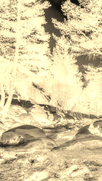 Sepia + Negatyw