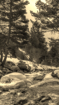 Sepia