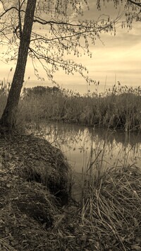 Szary + Sepia