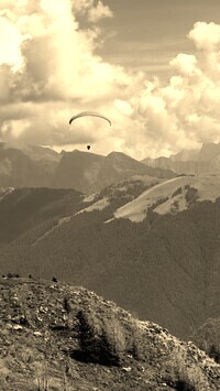 Szary + Sepia