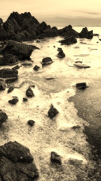 Szary + Sepia