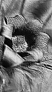 Skamielina