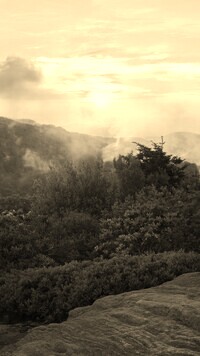 Szary + Sepia