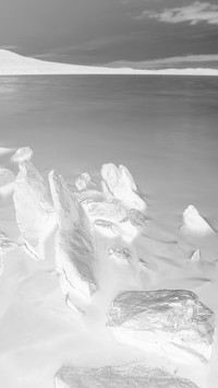 Szary + Negatyw