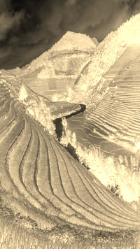 Sepia + Negatyw