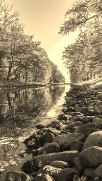 Szary + Sepia