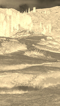 Sepia + Negatyw