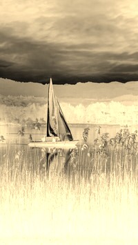 Sepia + Negatyw