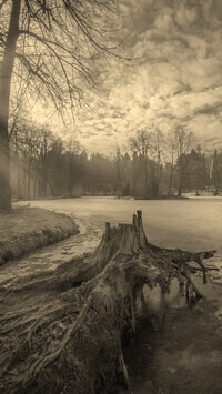 Sepia