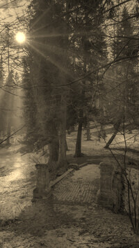 Sepia