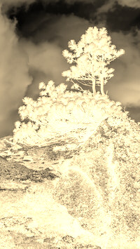 Sepia + Negatyw