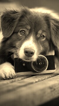 Sepia