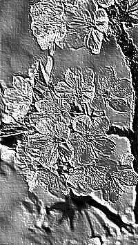 Skamielina