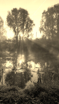 Szary + Sepia