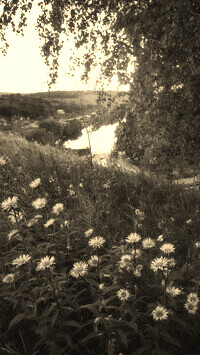 Sepia