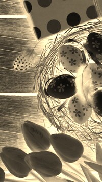Sepia + Negatyw