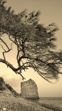 Szary + Sepia