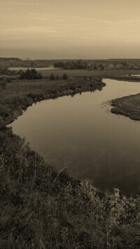Szary + Sepia