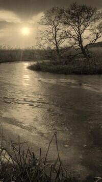 Szary + Sepia