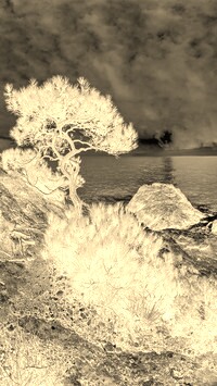 Sepia + Negatyw