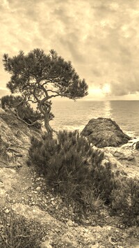 Sepia