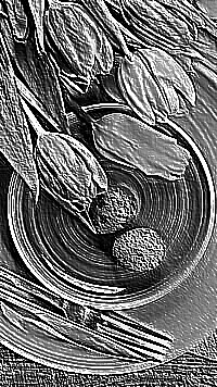 Skamielina