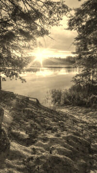 Szary + Sepia