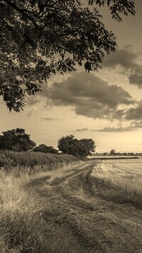 Sepia