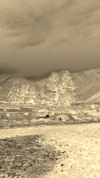 Sepia + Negatyw