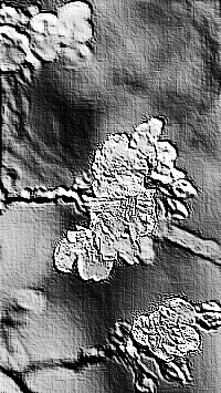 Skamielina