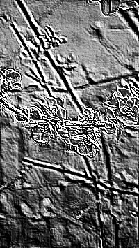 Skamielina
