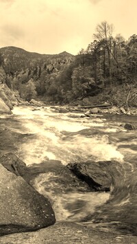 Sepia