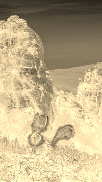 Sepia + Negatyw